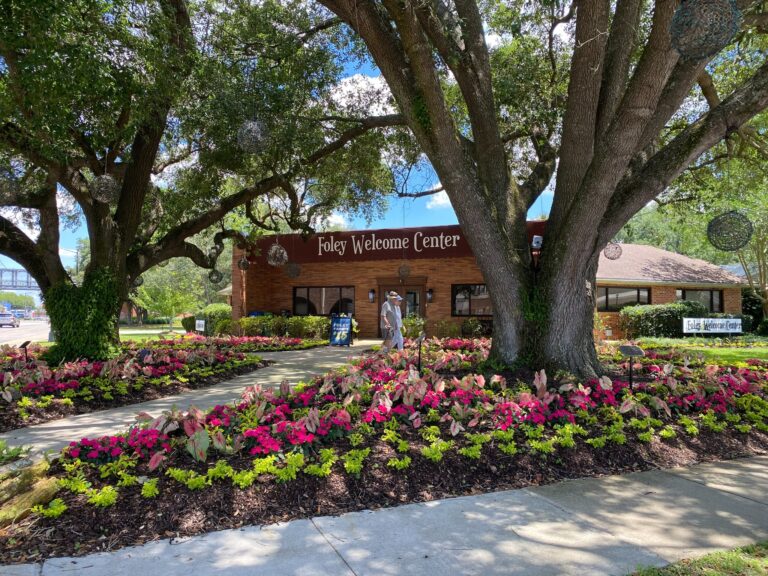 Foley City Store