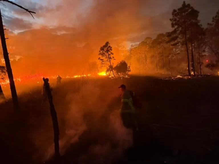 Fort Morgan Fire