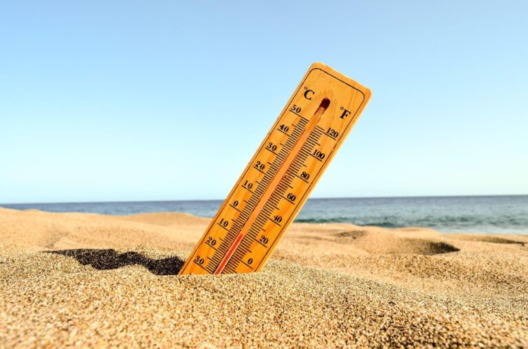 Foley Weather News