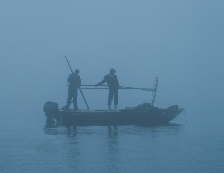 Oyster Harvest Alabama