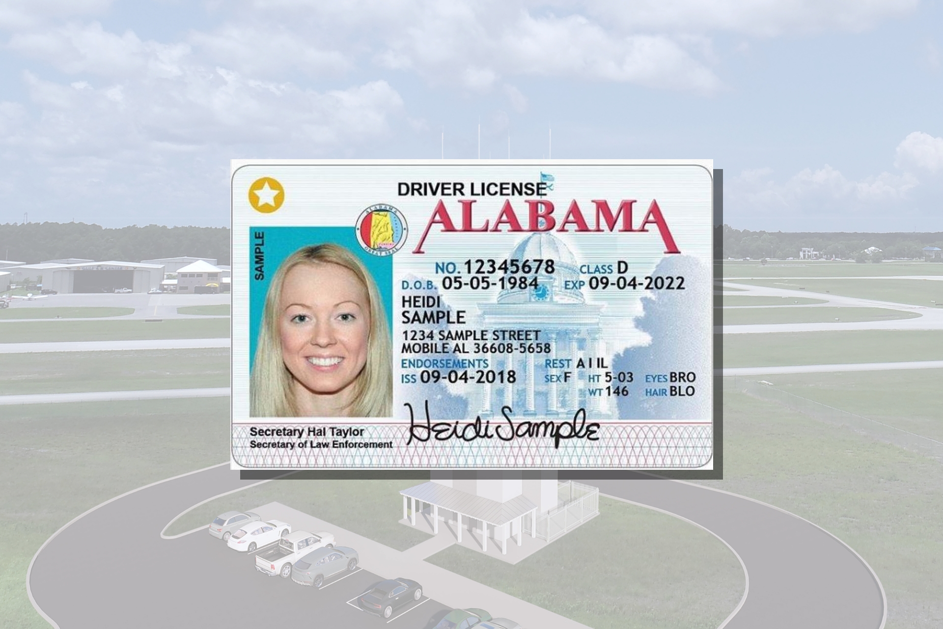 Foley Travel News