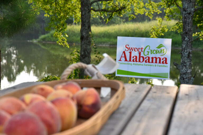 Foley Farm News