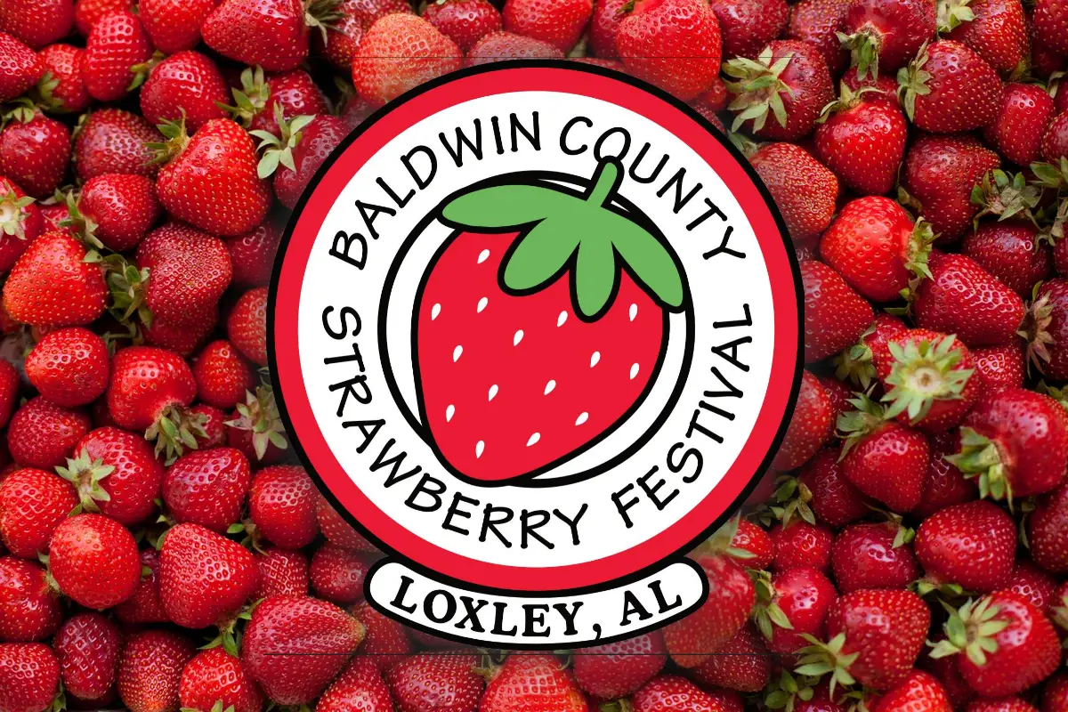 Strawberry fest