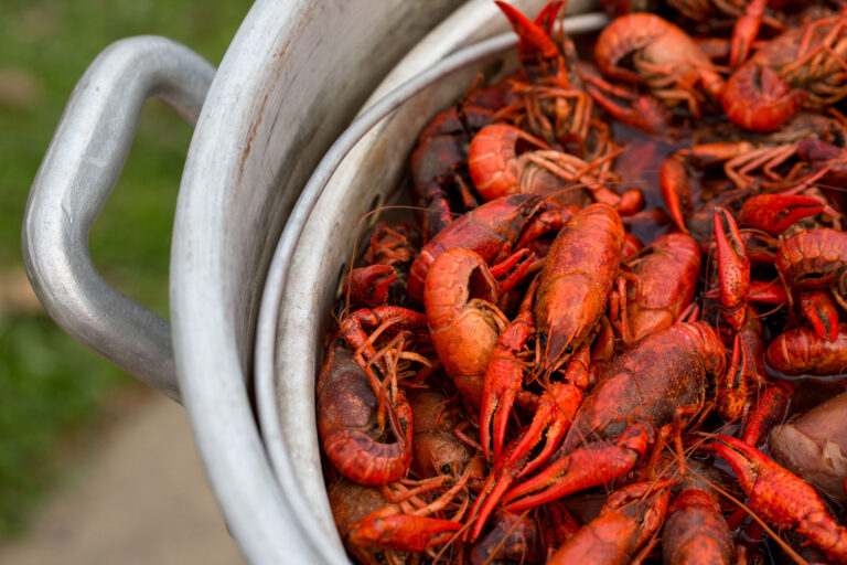 Foley Crawfish Day