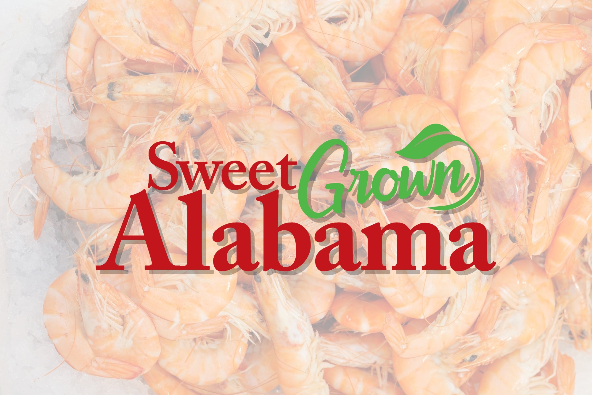 Buy local seafood