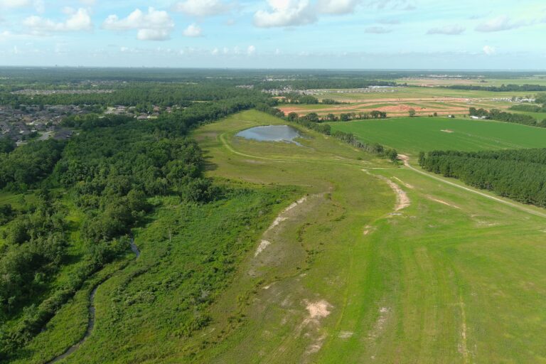 Foley Wetlands