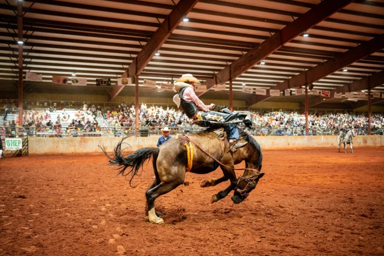 Foley Rodeo
