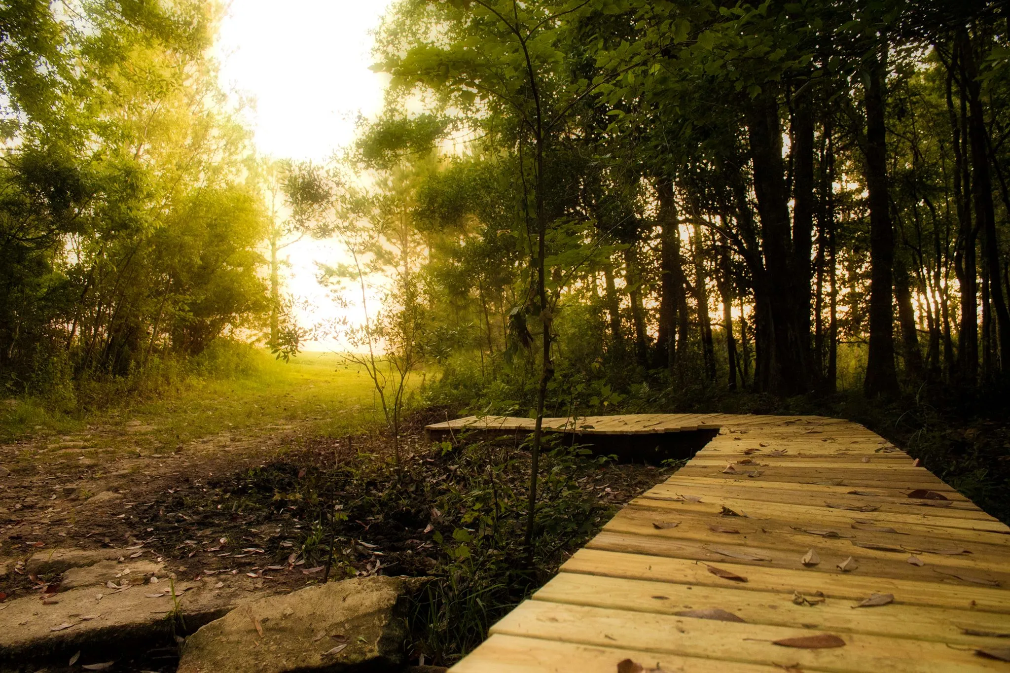 Foley Nature Parks