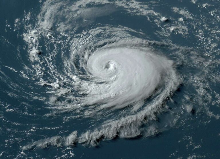 Foley Hurricane