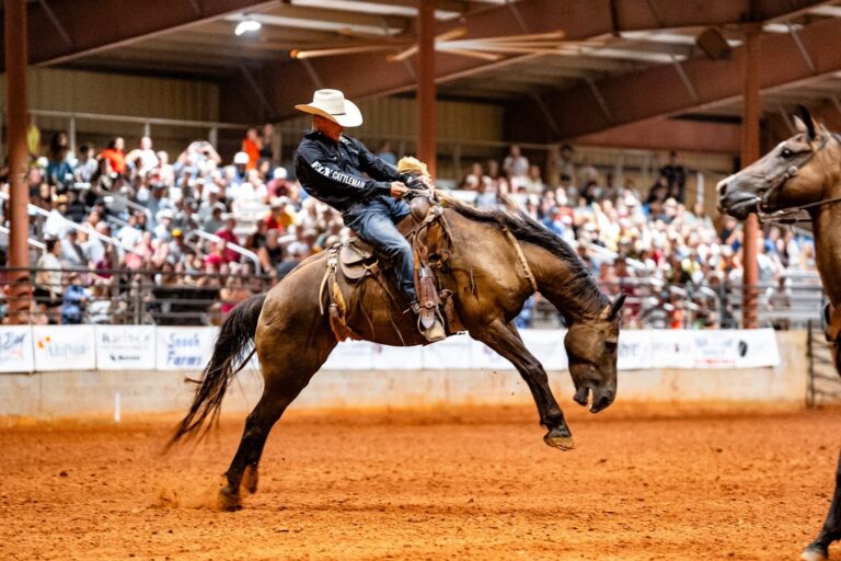 Foley rodeo