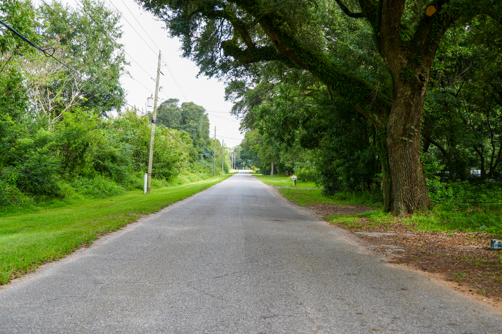 Foley sidewalk project in Mills